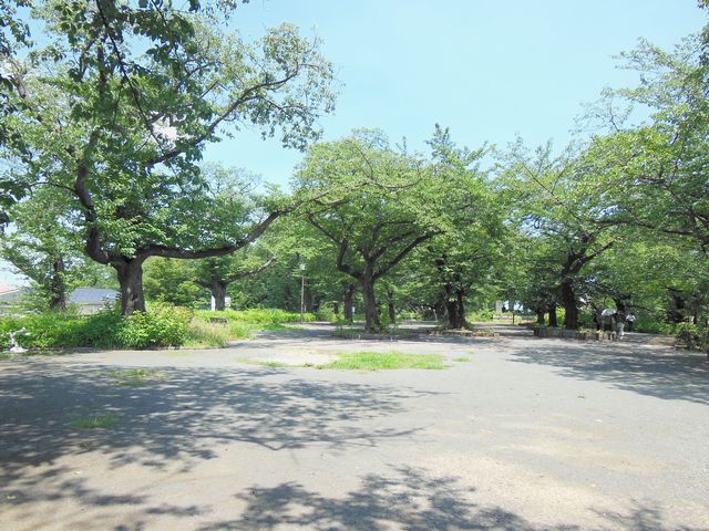 幸ヶ谷公園